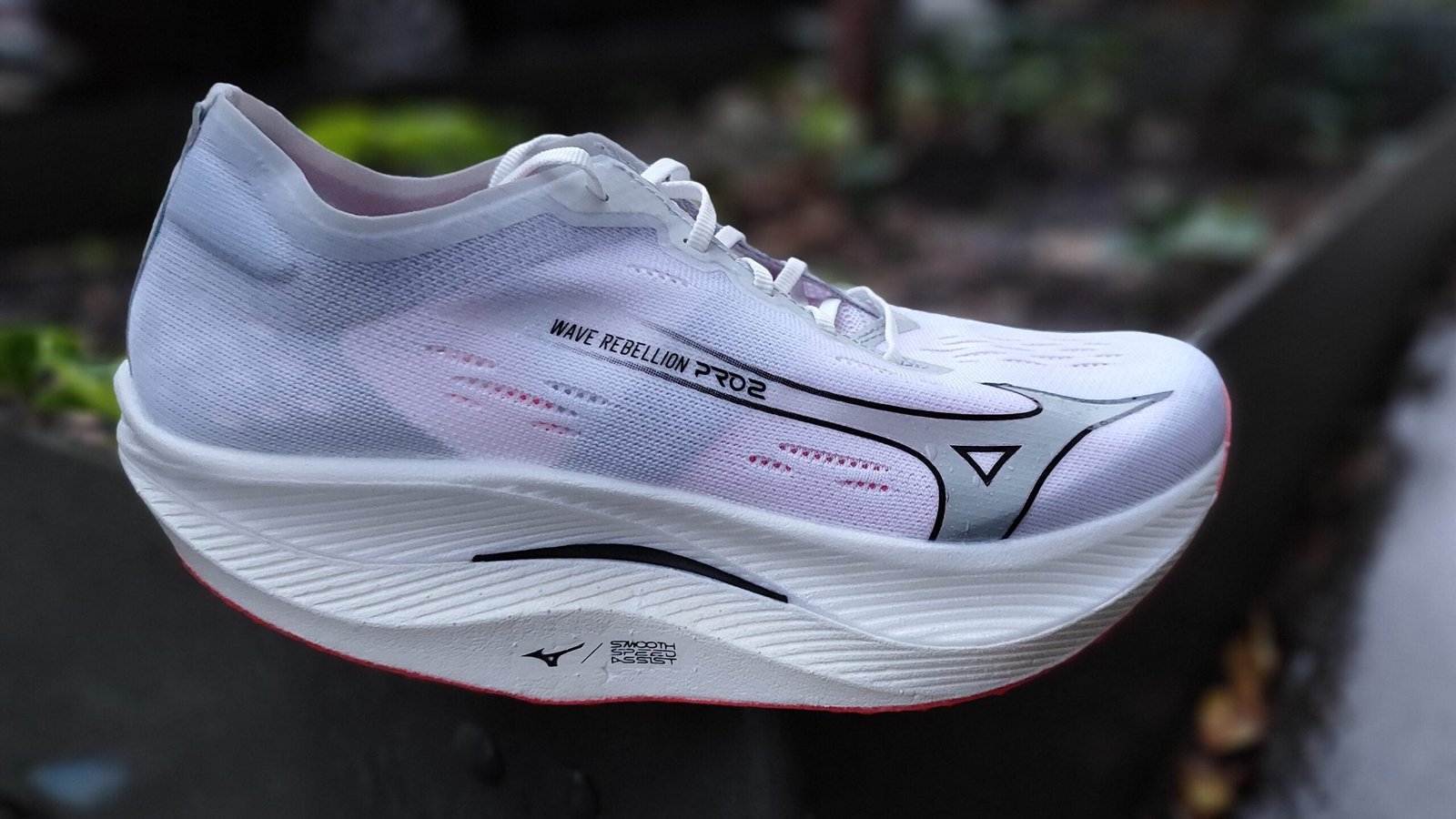 Mizuno Wave Rebellion pro 2