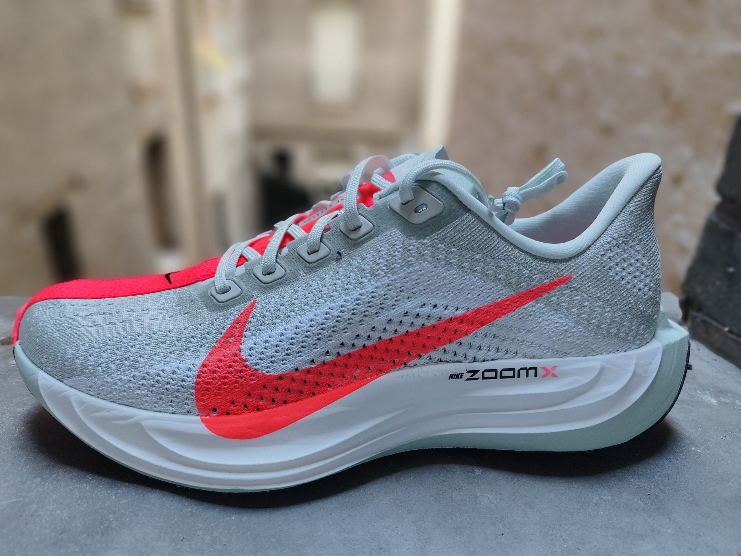 Test Nike Pegasus Plus